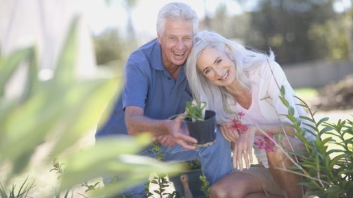 От вредителей избавитесь на весь сезон: привлечь на участок нужно этого «зверя»