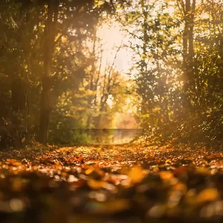 Библиотеки Орла подготовили новые мероприятия для своих читателей