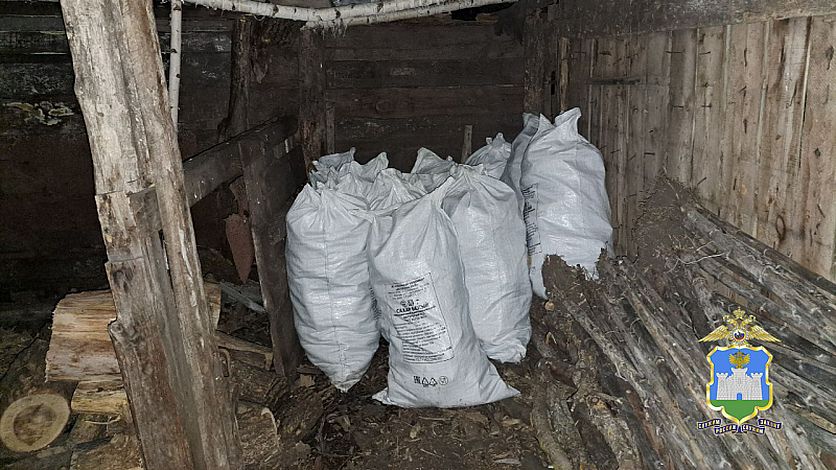 С поля сельхозпредприятия возле деревни Спасское Второе пропали 3,7 тонны кукурузы