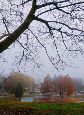 Доброе утро, друзья!. Сегодня синоптики обещают пасмурную погоду, небольшой дождь Днм температура поднимется до +12°С Атмосферное давление 736 мм. рт. ст. Ветер южный, дует со скоростью 9 м/с (Фото: Альберта Рассолова)...
