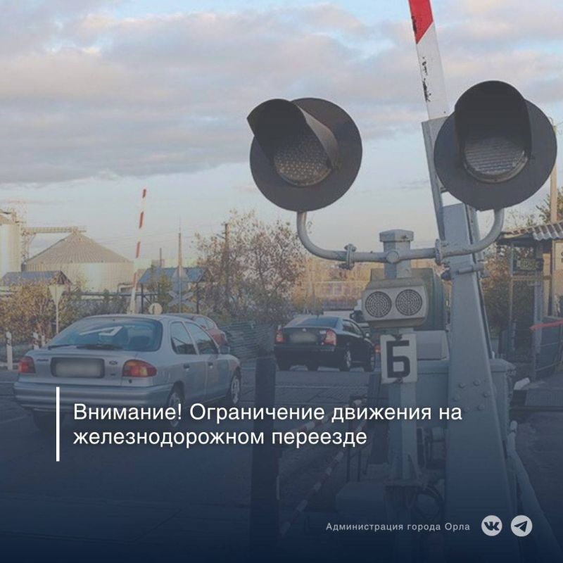     , , 21 ,  9:00  18:00    5  4      ( )      