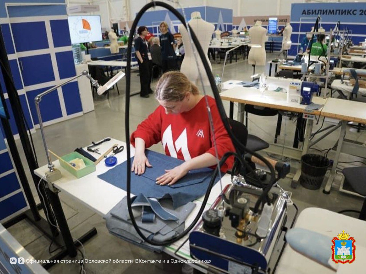 В Орловской области в 2025 году трудоустроено 17 участников региональных чемпионатов «Абилимпикс»