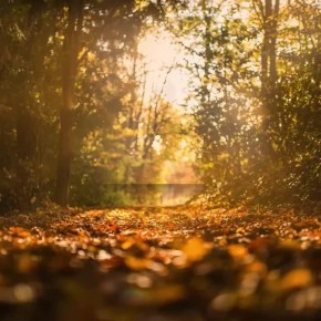 Новые мероприятия в библиотеках Орла! Полное расписание - в нашем видео