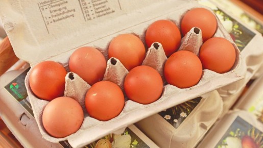 Легко найдете в магазине самые свежие яйца: даже на дату производства смотреть не придется