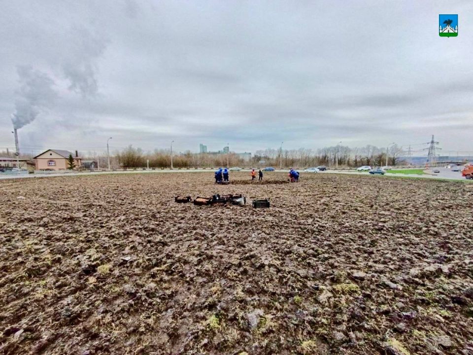 Алые, золотистые и лиловые: в Орле следующей весной появится клумба из 30 тысяч тюльпанов Алые, золотистые и лиловые: в Орле следующей весной появится клумба из 30 тысяч тюльпанов