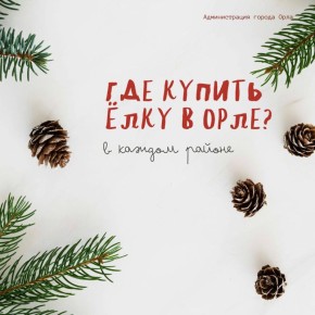 Ёлочные базары в Орле откроются после 15 декабря