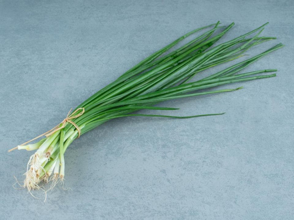 Соль для луковых посадок: в чем подвох?