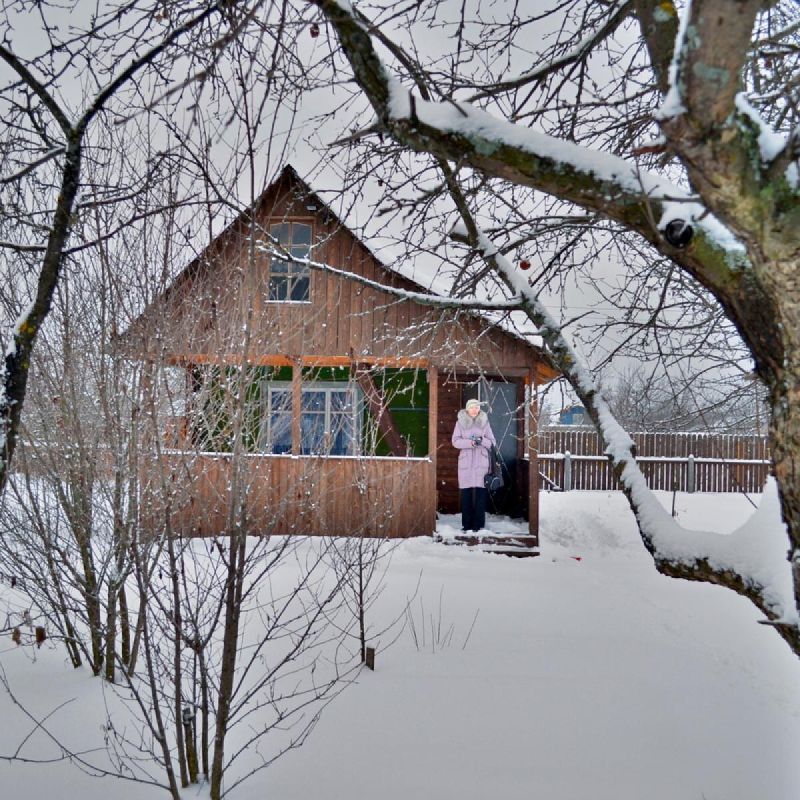 Зимние секреты ухода за садом, которые помогут сохранить здоровье растений