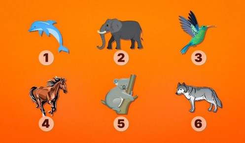 Как выбрать животное-тотем: пройдите уникальный тест на личность