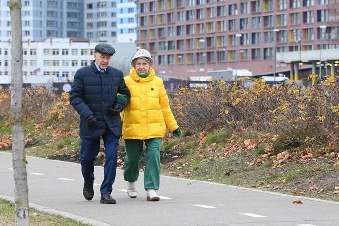 Эксперты предсказывают рост минимальной пенсии в 2026 году