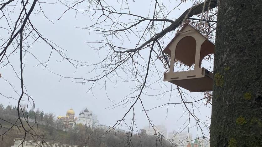 Орловцы помогут пернатым пережить холода