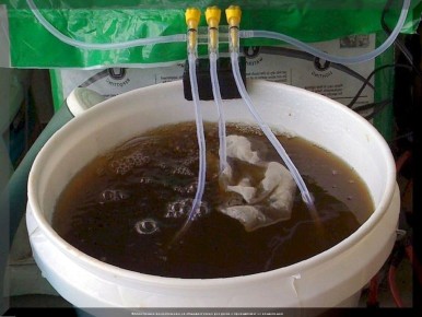 Удивительные секреты органических удобрений: советы для садоводов и огородников