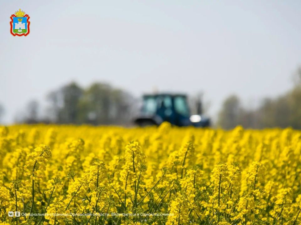 Орловские аграрии как всегда на высоте! В этом году наша область собрала 1 миллион тонн масличных культур
