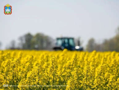 Орловские аграрии как всегда на высоте! В этом году наша область собрала 1 миллион тонн масличных культур