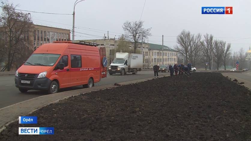 В декабре в центре Орла высадили тюльпаны