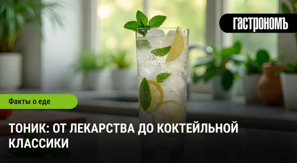 Тоник: от лечебного напитка к барной классике