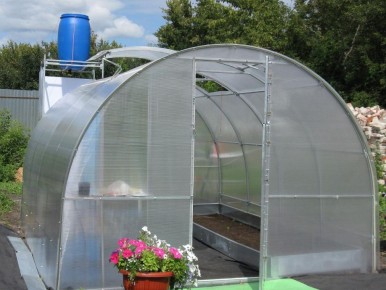 Теплица после зимы: ключевые шаги к восстановлению