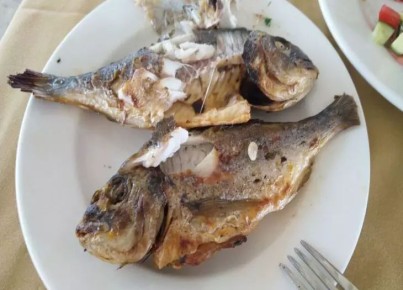 Является ли рыба значительно полезнее курицы, говядины и свинины: что нужно знать