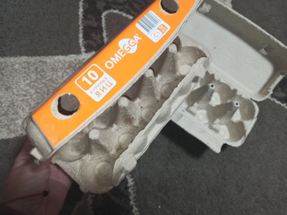 Как упаковка от яиц может стать настоящим мастером бытового творчества