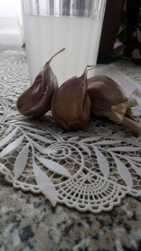 Чесночная вода для орхидей: миф или опасная реальность?