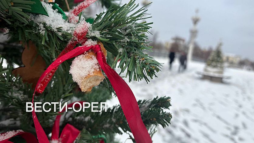 Орловцы грызут баранки на елке установленной на Александровском мосту Орловцы грызут баранки на елке установленной на Александровском мосту
