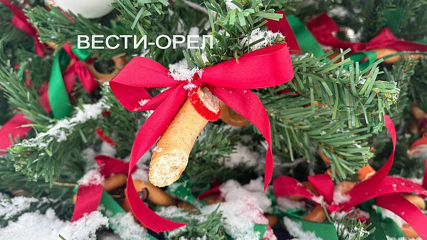 Орловцы грызут баранки на елке установленной на Александровском мосту Орловцы грызут баранки на елке установленной на Александровском мосту