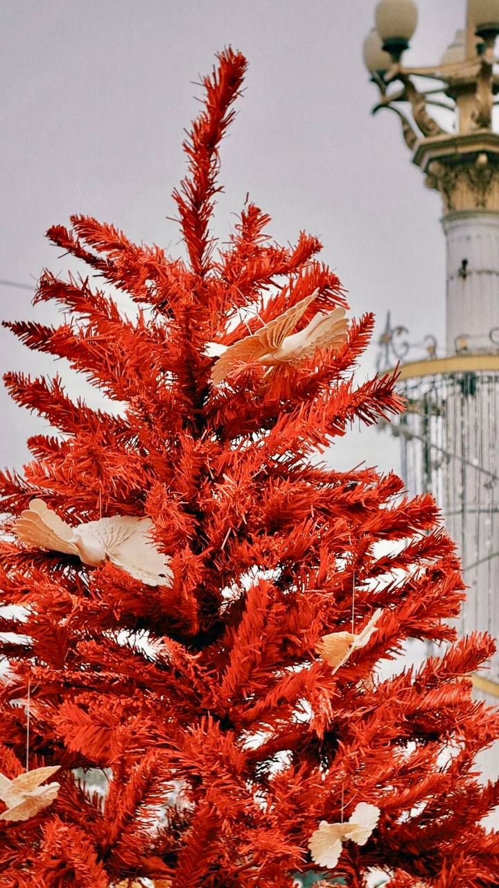 На Ленинском мосту засияли первые корпоративные ели: одна из них оформлена в стилистике Поморья На Ленинском мосту засияли первые корпоративные ели: одна из них оформлена в стилистике Поморья