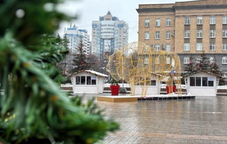 На площади Ленина в Орле установили фигуры зубров