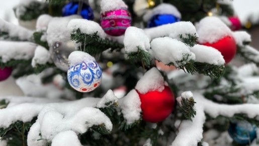 Орловцам рассказали, как выбрать гирлянды и елочные игрушки