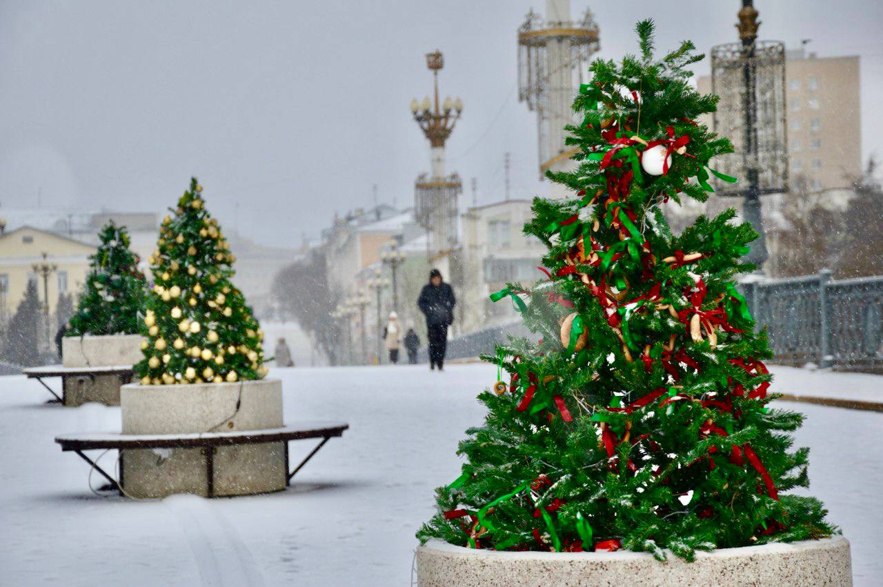 «Хлебная ёлка»: Орловский хлебокомбинат украсил ель на Ленинском мосту выпечкой собственного производства