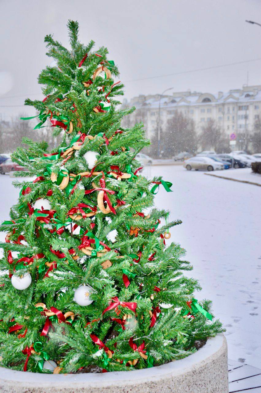 «Хлебная ёлка»: Орловский хлебокомбинат украсил ель на Ленинском мосту выпечкой собственного производства «Хлебная ёлка»: Орловский хлебокомбинат украсил ель на Ленинском мосту выпечкой собственного производства