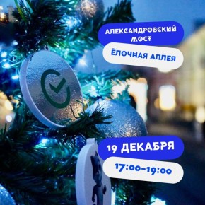 Орловская ёлочная аллея тоже готова блистать