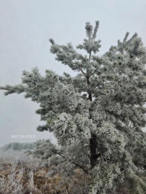 � �������� ������� �������� �������� ������� ������