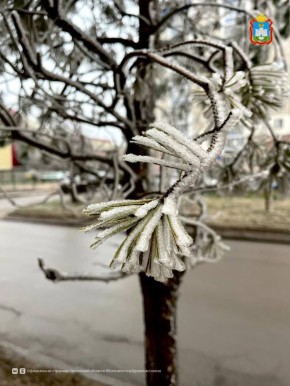 ����� ���� ��������� ������ ������!