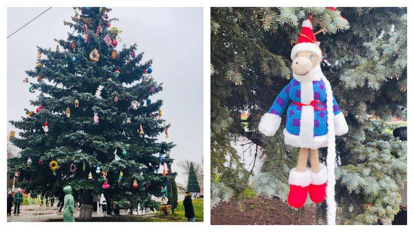 ������ ���� �������� ������� ���� ����������� ������������ ���������