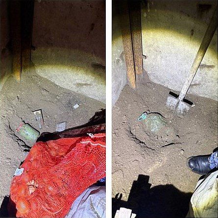 ������������� ����������� ��������� ������ � ����������