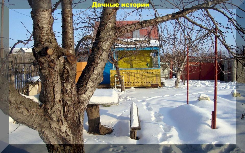 ���������� ���� � ����: ������ ���� ��� ������������ � �����������