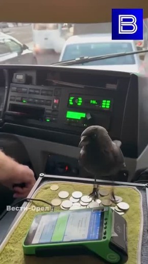 � ��������� ��������� ����������� �������� ����������