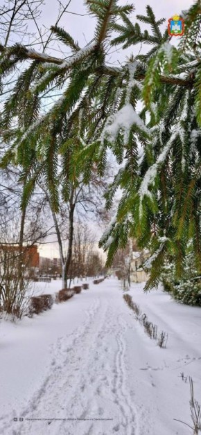 � ��������� ������� ������ ����