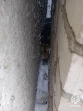 � ������� ������ ���������� ����� ��������� ������� ������