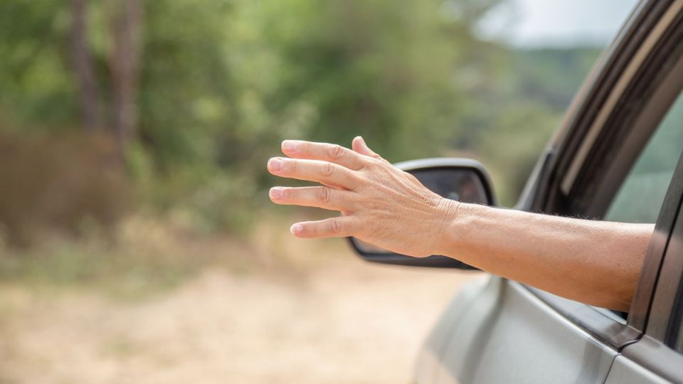 ������ �������� ���������� ������ � ����� ��������: ����� �� ������ ��� ���� ��������