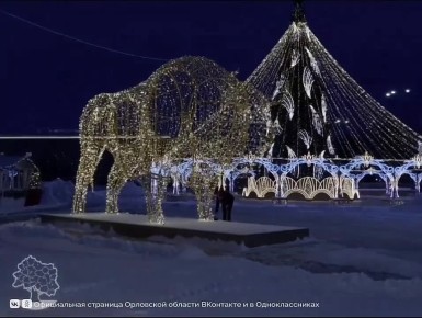 Заместитель губернатора Орловской области в Правительстве региона по социальной политике Алексей Берестов принял участие во Всероссийской акции «Елка желаний»