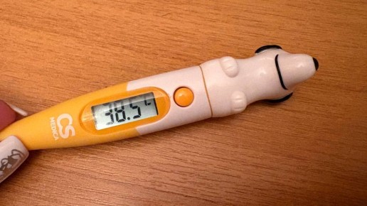 В Орловской области снизился рост заболеваемости ОРВИ