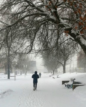 На Орловщине ожидают сильный снег и ветер