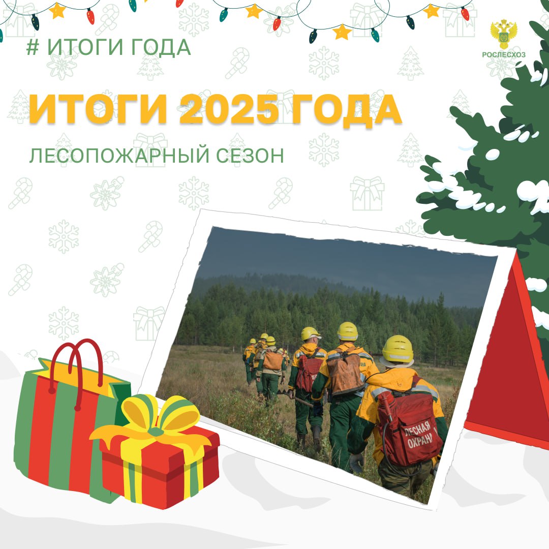 В этом году большинство регионов успешно прошли лесопожарный сезон, показав высокую эффективность тушения лесных пожаров