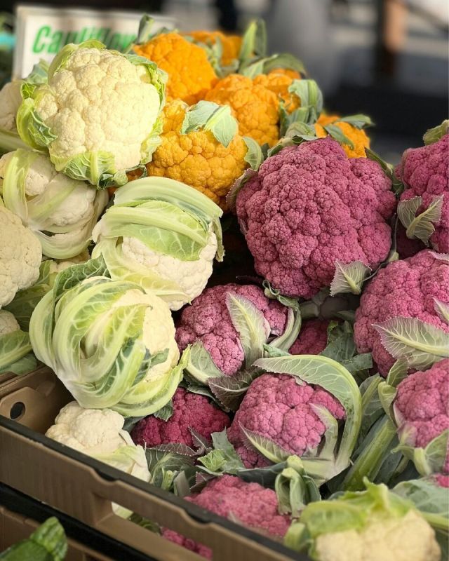 ������������� �����: ������������ ������ �������� ������ ������ � �����