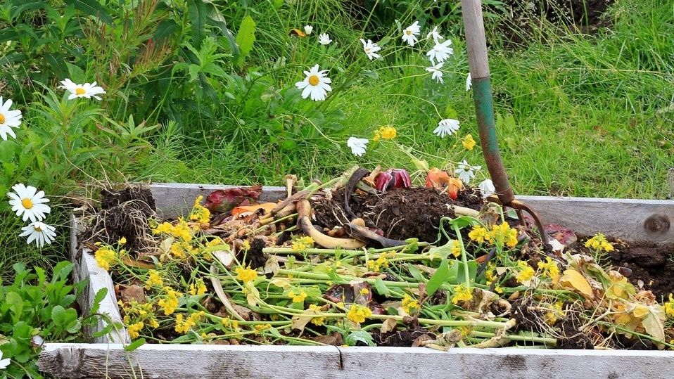 ������ ������� �������� ������ ���� �������� �� ��������: ������� ��������� ���������������