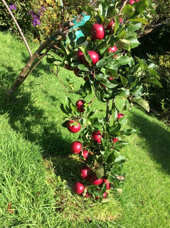 ���������� ������: ������� ��������� ����� � �����