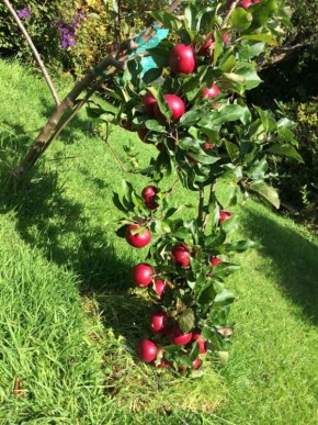 ���������� ������: ������� ��������� ����� � �����