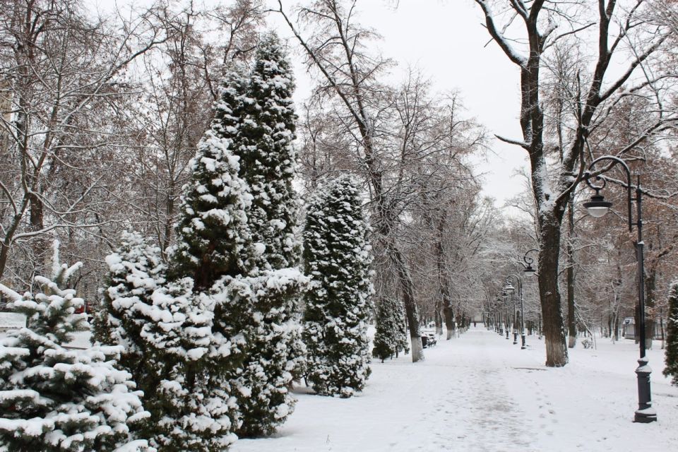 �� ��������� ����������� ������